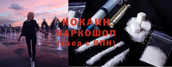 прущие грибы Краснотурьинск