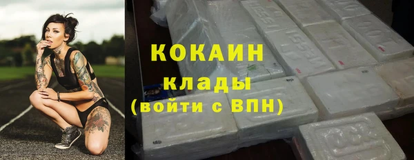 прущие грибы Краснотурьинск