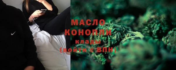 прущие грибы Краснотурьинск