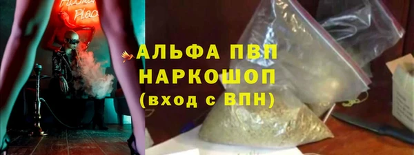 прущие грибы Краснотурьинск