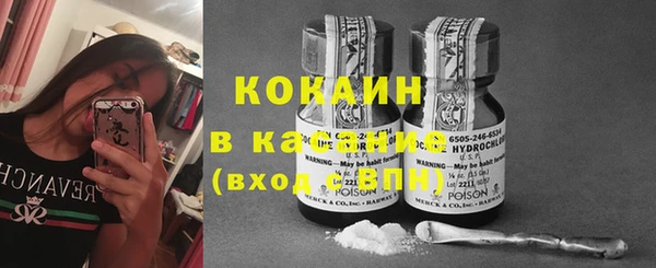 прущие грибы Краснотурьинск