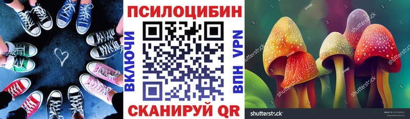 Псилоцибиновые грибы прущие грибы  Купить закладки  Малмыж 